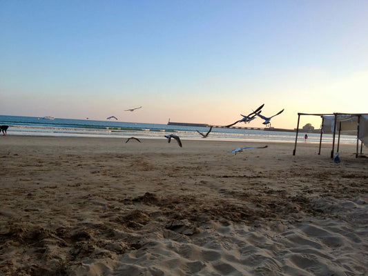 La plage des Sables d'Olonne - Petite Sablaise